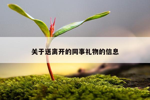 关于送离开的同事礼物的信息