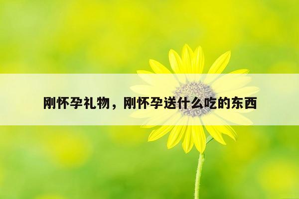 刚怀孕礼物，刚怀孕送什么吃的东西