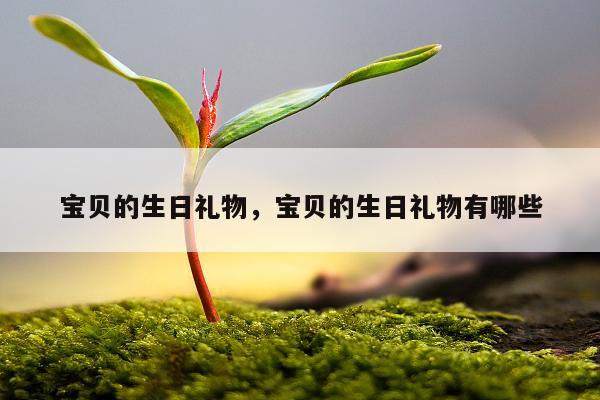 宝贝的生日礼物，宝贝的生日礼物有哪些