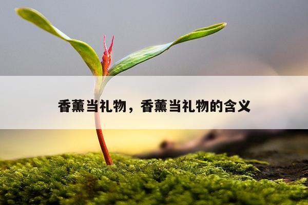 香薰当礼物，香薰当礼物的含义