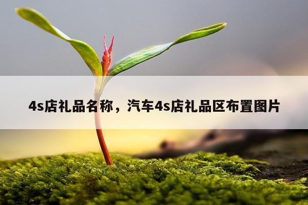 4s店礼品名称，汽车4s店礼品区布置图片