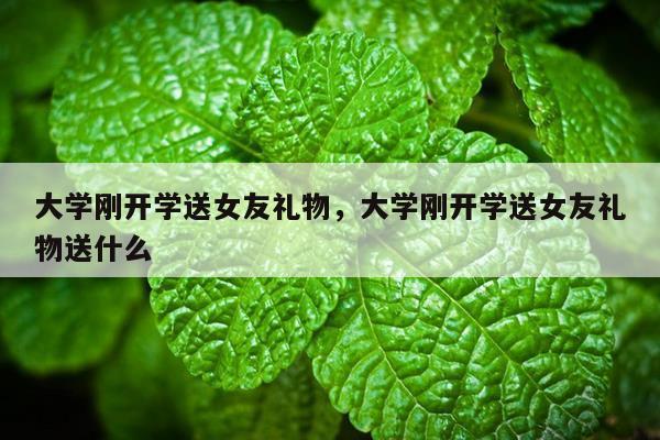 大学刚开学送女友礼物，大学刚开学送女友礼物送什么
