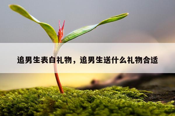 追男生表白礼物，追男生送什么礼物合适