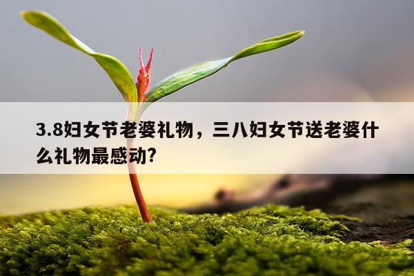 3.8妇女节老婆礼物，三八妇女节送老婆什么礼物最感动?
