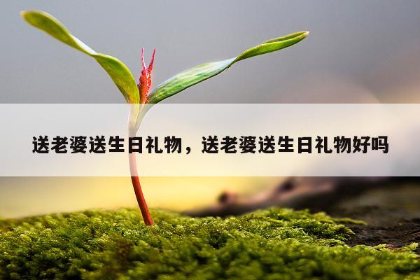 送老婆送生日礼物，送老婆送生日礼物好吗