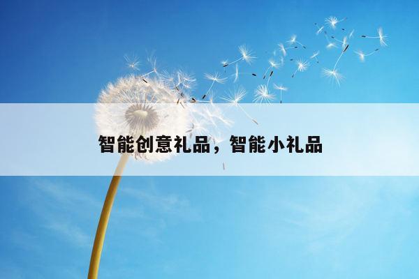 智能创意礼品，智能小礼品