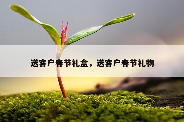 送客户春节礼盒，送客户春节礼物