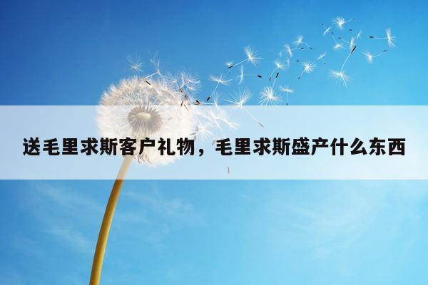 送毛里求斯客户礼物，毛里求斯盛产什么东西