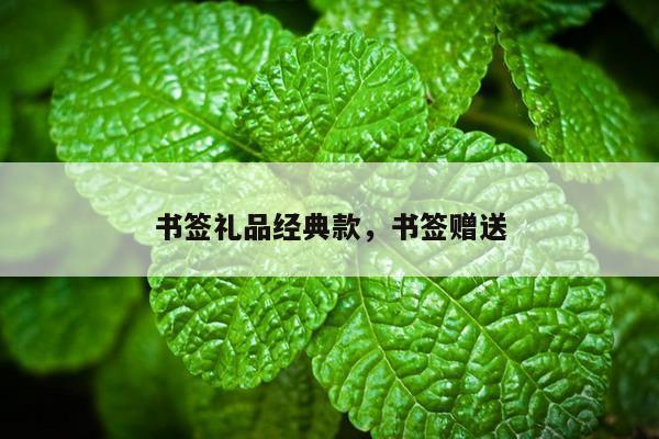 书签礼品经典款，书签赠送