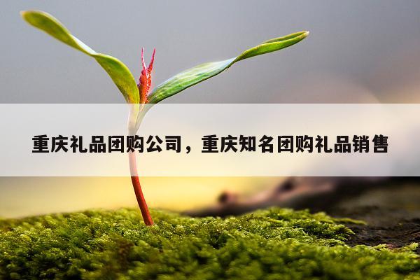重庆礼品团购公司，重庆知名团购礼品销售