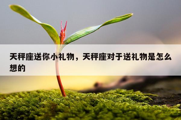 天秤座送你小礼物，天秤座对于送礼物是怎么想的