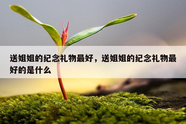 送姐姐的纪念礼物最好，送姐姐的纪念礼物最好的是什么