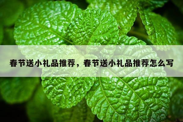 春节送小礼品推荐，春节送小礼品推荐怎么写