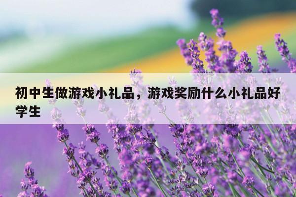 初中生做游戏小礼品，游戏奖励什么小礼品好学生