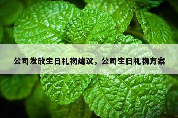 公司发放生日礼物建议，公司生日礼物方案