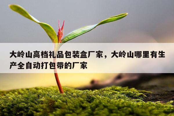 大岭山高档礼品包装盒厂家，大岭山哪里有生产全自动打包带的厂家