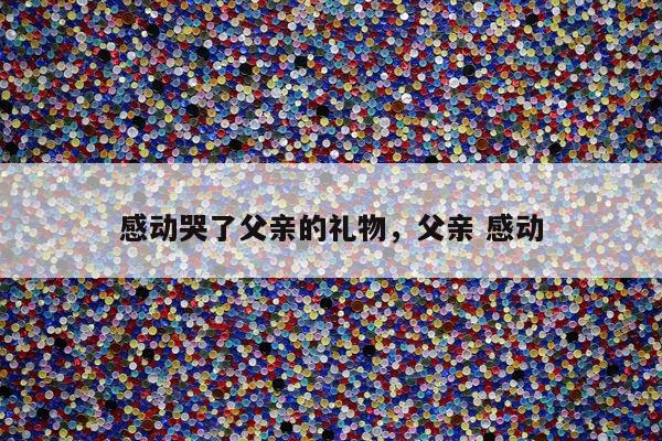 感动哭了父亲的礼物，父亲 感动