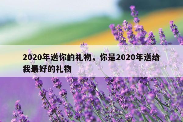2020年送你的礼物，你是2020年送给我最好的礼物