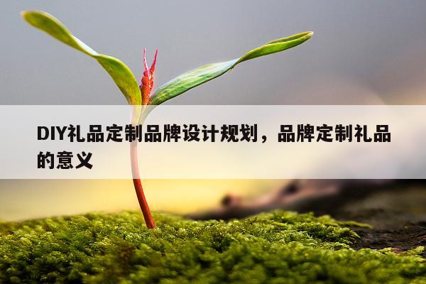 DIY礼品定制品牌设计规划，品牌定制礼品的意义