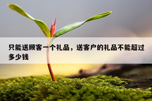 只能送顾客一个礼品，送客户的礼品不能超过多少钱