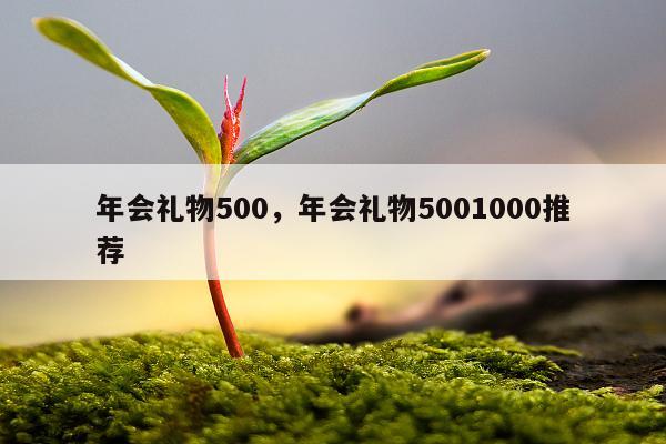年会礼物500，年会礼物5001000推荐