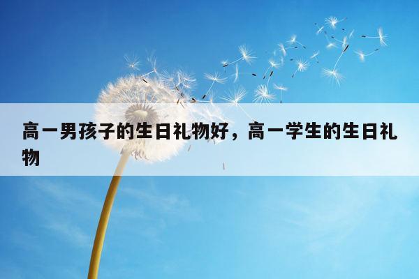 高一男孩子的生日礼物好，高一学生的生日礼物