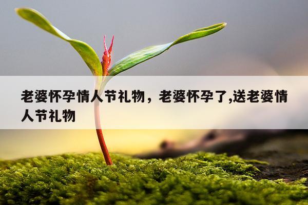 老婆怀孕情人节礼物，老婆怀孕了,送老婆情人节礼物