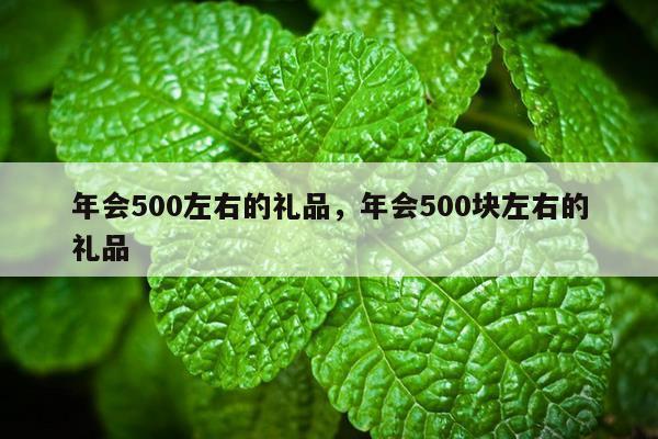 年会500左右的礼品，年会500块左右的礼品