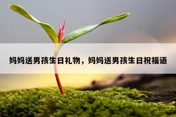 妈妈送男孩生日礼物，妈妈送男孩生日祝福语