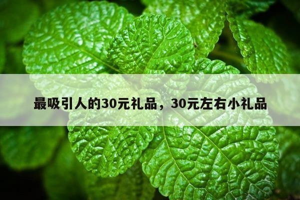 最吸引人的30元礼品，30元左右小礼品