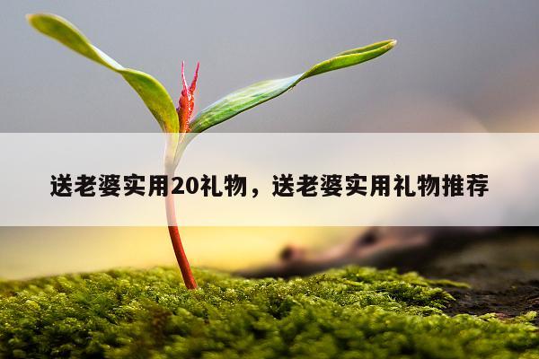 送老婆实用20礼物，送老婆实用礼物推荐