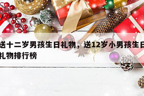 送十二岁男孩生日礼物，送12岁小男孩生日礼物排行榜