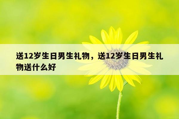 送12岁生日男生礼物，送12岁生日男生礼物送什么好