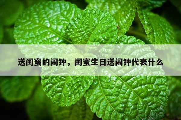 送闺蜜的闹钟，闺蜜生日送闹钟代表什么