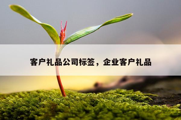 客户礼品公司标签，企业客户礼品