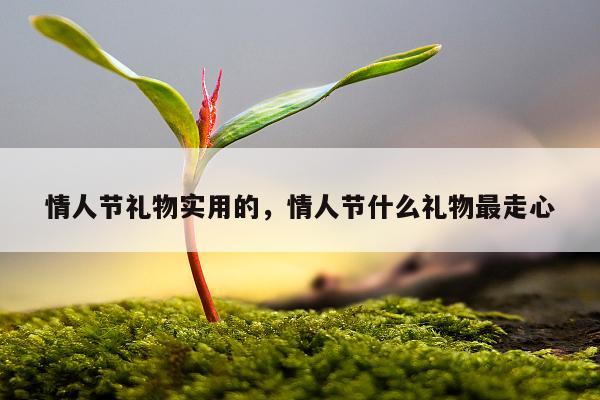 情人节礼物实用的，情人节什么礼物最走心