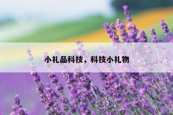 小礼品科技，科技小礼物