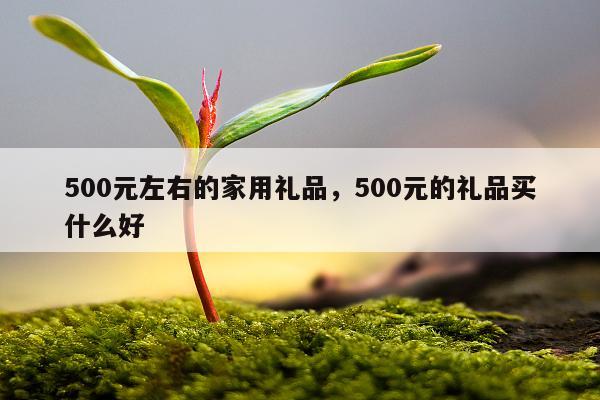 500元左右的家用礼品，500元的礼品买什么好