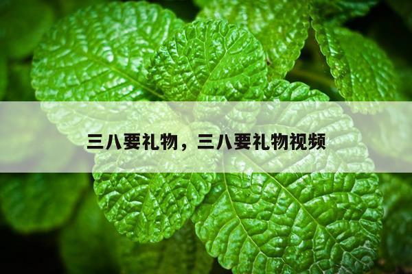 三八要礼物，三八要礼物视频