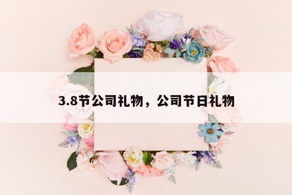 3.8节公司礼物，公司节日礼物