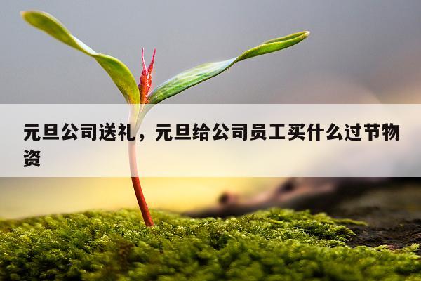 元旦公司送礼，元旦给公司员工买什么过节物资