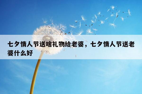 七夕情人节送啥礼物给老婆，七夕情人节送老婆什么好