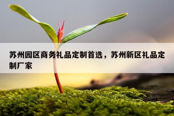 苏州园区商务礼品定制首选，苏州新区礼品定制厂家