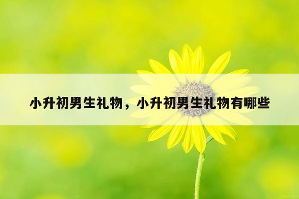 小升初男生礼物，小升初男生礼物有哪些