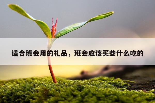 适合班会用的礼品，班会应该买些什么吃的