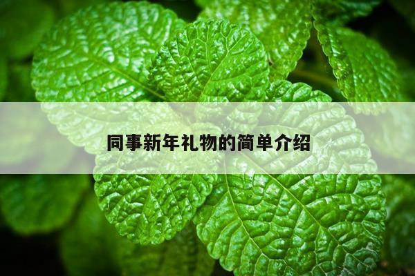 同事新年礼物的简单介绍