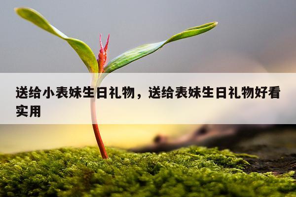 送给小表妹生日礼物，送给表妹生日礼物好看实用