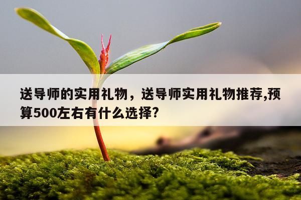 送导师的实用礼物，送导师实用礼物推荐,预算500左右有什么选择?