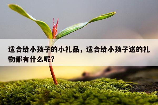 适合给小孩子的小礼品，适合给小孩子送的礼物都有什么呢?