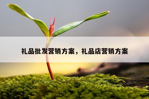礼品批发营销方案，礼品店营销方案